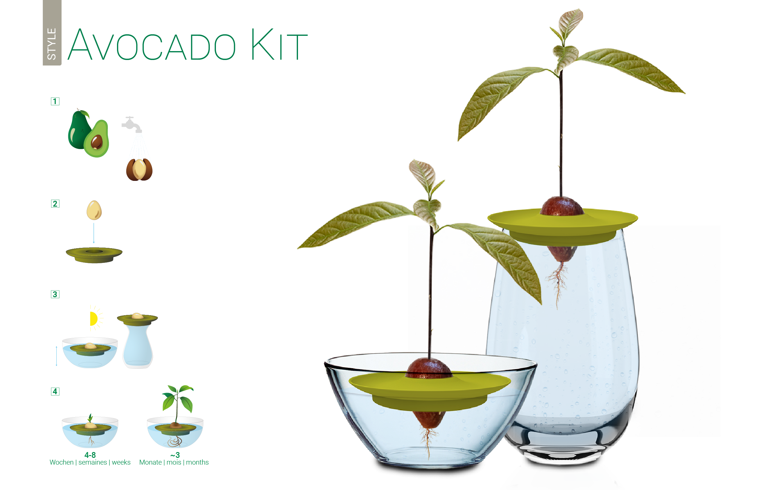 Avocado Kit